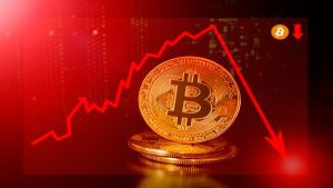 BTC Price Crash 