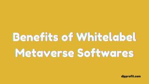 benefits of whitelabel metaverse software