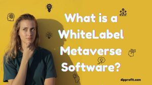 whitelabel metaverse