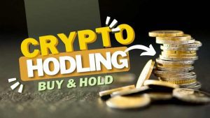 crypto investing for beginners, hodling, dipprofit.com