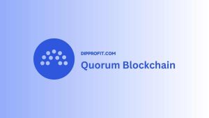 dipprofit quorum blockchain