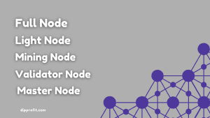 types of blockchain nodes