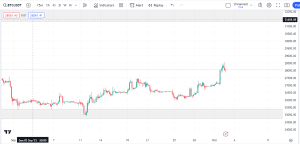 free market analysis, btcusdt market analysis, dipprofit.com