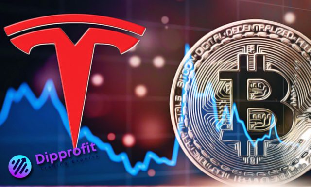 Tesla's Bitcoin Holdings, Bitcoin holdings, Elon musk