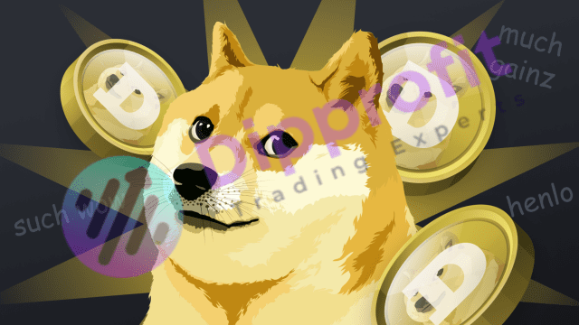 Dogecoin Transactions, Dogecoin network, Dogecoin community