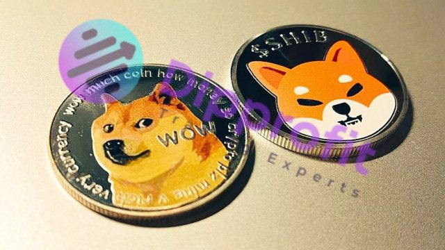 Doge Price, Shiba Inu 