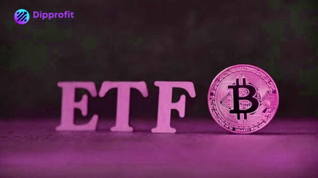 Spot Bitcoin, Spot Bitcoin ETFs 