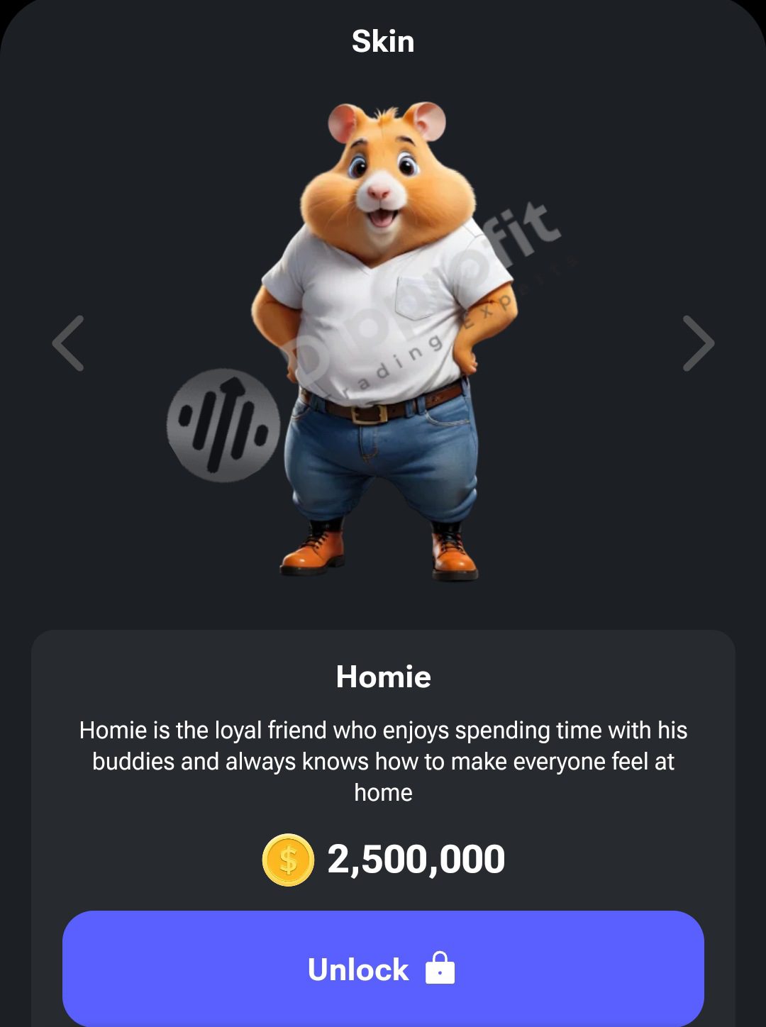 New Updates, Hamster Kombat, New skin, Hamster mini game