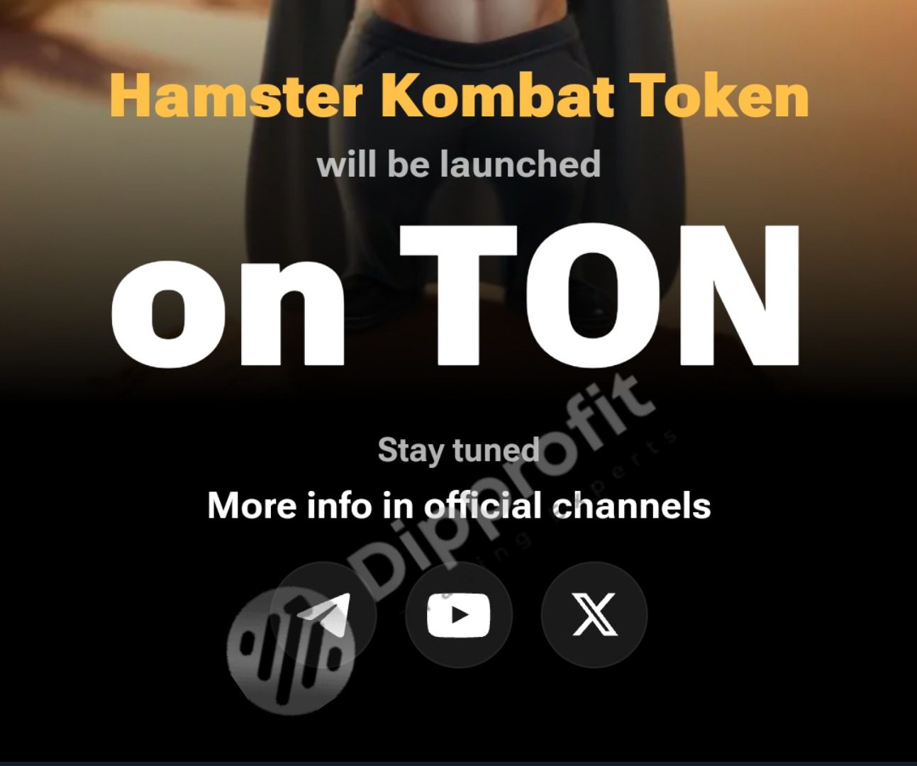 New Updates, Hamster Kombat, New skin, Hamster mini game